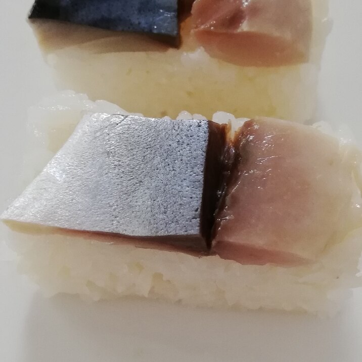 〆鯖の押し寿司